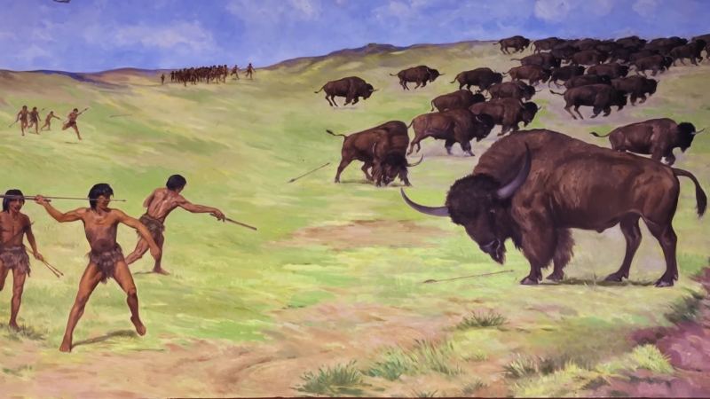 A painting shows Paleo-Indians hunting bison with spears on open grassland in Kentucky